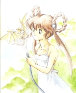 Mamono Hunter Yohko Anime V Special : página 39