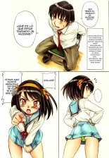 La falsificacion de Suzumiya Haruhi : página 3