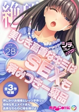 絶頂天国vol28 ～美しき高貴なキミはSEXも病みつき一級品～【シチュコレ！シリーズ】 : página 1